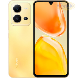 vivo V25